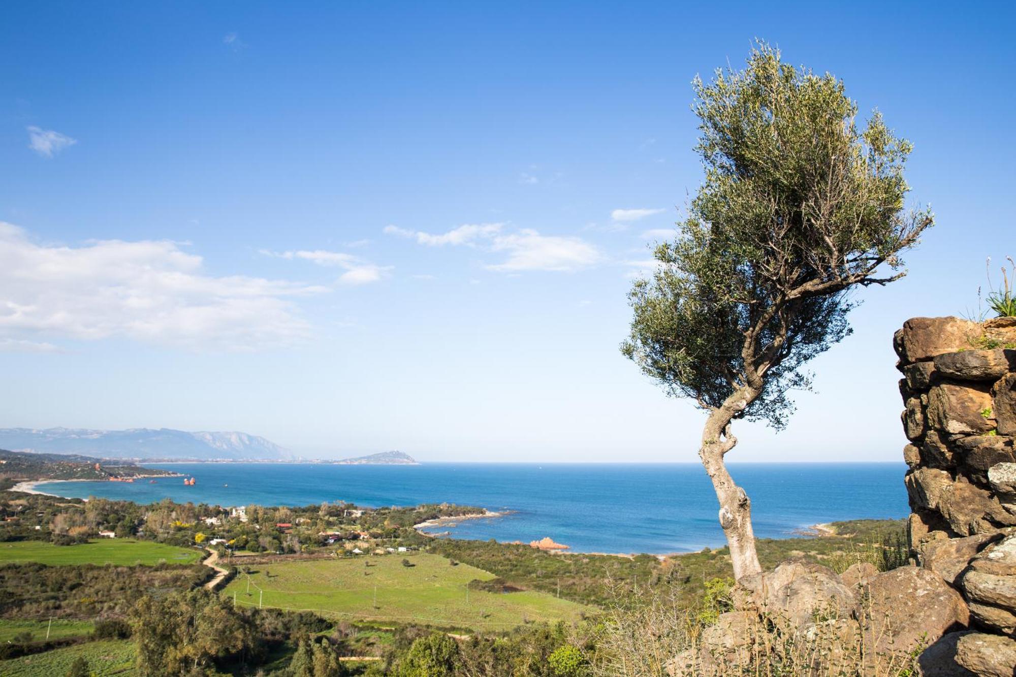 Le Corti Sarde Garden Διαμέρισμα Bari Sardo Εξωτερικό φωτογραφία